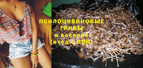 ГАЛЛЮЦИНОГЕННЫЕ ГРИБЫ Верхнеуральск