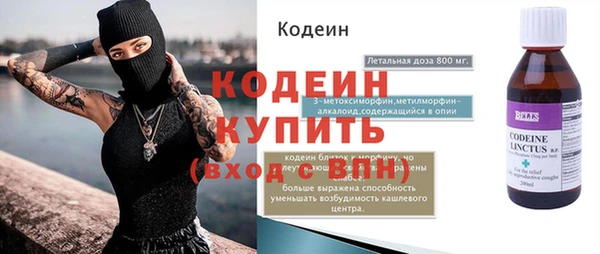 индика Верея