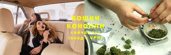 индика Богданович