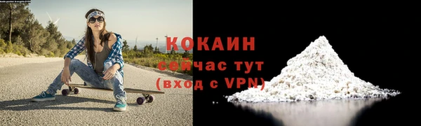 индика Верея