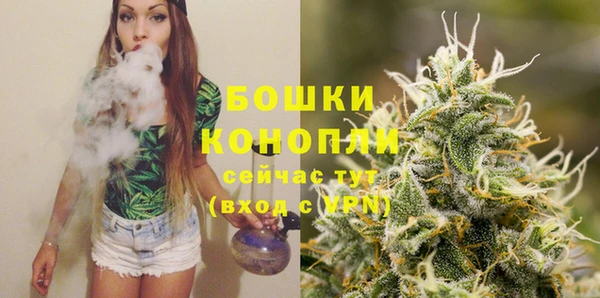 индика Верея