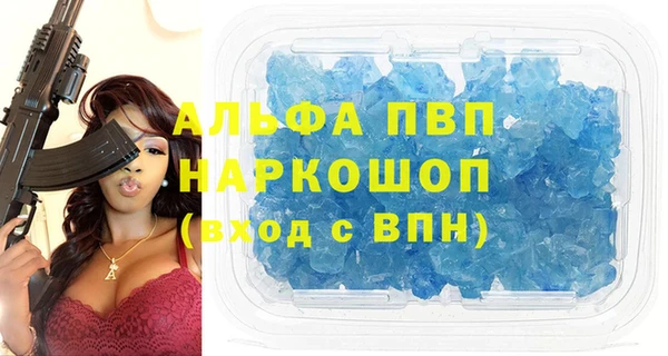 индика Верея