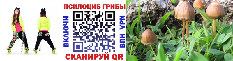 Галлюциногенные грибы Magic Shrooms это Telegram Вуктыл